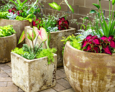 7 Unlikely Container Pairs to Add Wow Factor to Small Spaces – Try Texture Clashing Combos for Easy Style Points