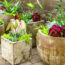 7 Unlikely Container Pairs to Add Wow Factor to Small Spaces – Try Texture Clashing Combos for Easy Style Points