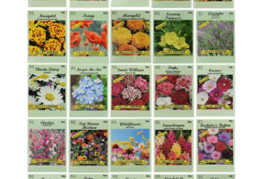 Amazon Is Becoming My New Favorite Seed Store – These Prime Day Bundles Will Fill Your Garden for Years