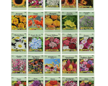 Amazon Is Becoming My New Favorite Seed Store – These Prime Day Bundles Will Fill Your Garden for Years