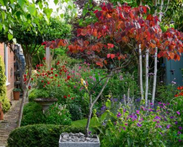 Can’t sell your home? Do these 6 front garden upgrades right now, say garden design experts