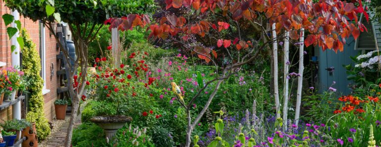Can’t sell your home? Do these 6 front garden upgrades right now, say garden design experts