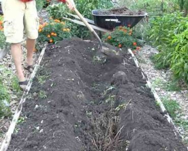 Core Gardening Method: Grow More with Less Work and Water