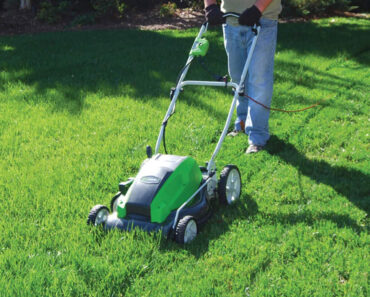 Greenworks vs Ryobi Lawn Mowers: Which is Better for Your Lawn?