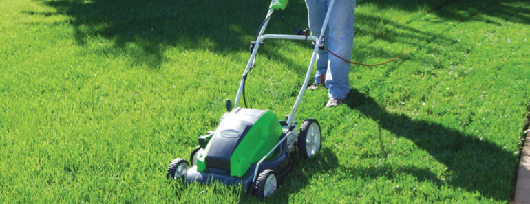 Greenworks vs Ryobi Lawn Mowers: Which is Better for Your Lawn?