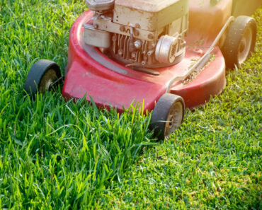 The Best Lawn Mowing Height for Every Season – to Keep Your Grass Lush All Year Long