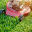 The Best Lawn Mowing Height for Every Season – to Keep Your Grass Lush All Year Long