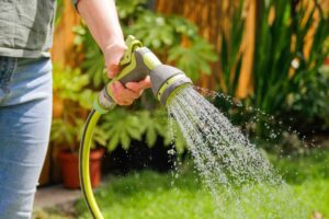 What Your Azaleas Need Before June Ends – 5 Tasks You Need to Do Now for Beautiful Blooms Next Year