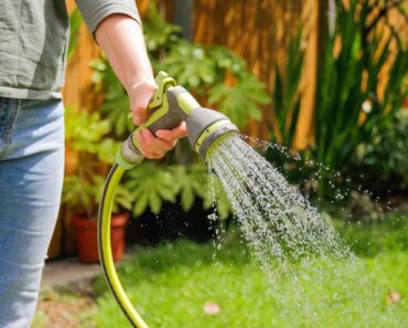 What Your Azaleas Need Before June Ends – 5 Tasks You Need to Do Now for Beautiful Blooms Next Year