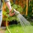 What Your Azaleas Need Before June Ends – 5 Tasks You Need to Do Now for Beautiful Blooms Next Year