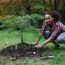 What Your Japanese Maple Needs in July for Blazing Color That Lasts All Season – 5 Easy Tasks to Do Now