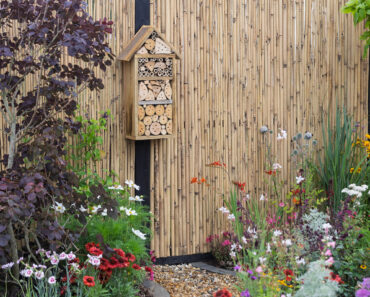 10 Dazzling DIY Ideas to Landscape Your Garden Fence and Add Style and Color to Your Yard