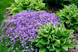 4 Steps to a Garden That Almost Takes Care of Itself if You Want More Flowers for Less Work