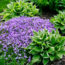 4 Steps to a Garden That Almost Takes Care of Itself if You Want More Flowers for Less Work