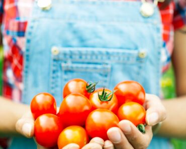 6 Plants You Should Still Be Feeding in July — and the 3 You Should Stop Fertilizing Now
