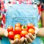 6 Plants You Should Still Be Feeding in July — and the 3 You Should Stop Fertilizing Now