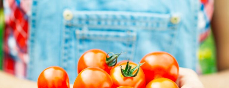 6 Plants You Should Still Be Feeding in July — and the 3 You Should Stop Fertilizing Now 6 Plants You Should Still Be Feeding in July — and the 3 You Should Stop Fertilizing Now