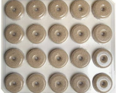 7 Mosquito Control Products That Actually Work to Keep Your Summer Celebrations Itch-Free 7 Mosquito Control Products That Actually Work to Keep Your Summer Celebrations Itch-Free