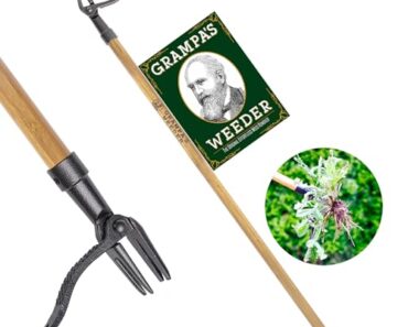 7 Weird Weeding Tools You Never Knew You Needed