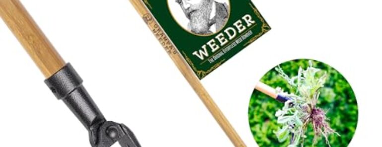 7 Weird Weeding Tools You Never Knew You Needed 7 Weird Weeding Tools You Never Knew You Needed
