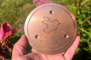 A Heatwave Can Spoil Bird Bath Water Fast – This Simple Copper Trick Keeps It Fresher for Longer