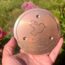 A Heatwave Can Spoil Bird Bath Water Fast – This Simple Copper Trick Keeps It Fresher for Longer