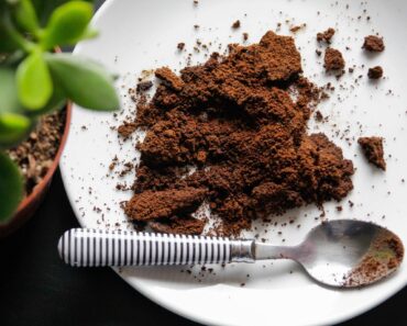Do Orchids Like Coffee Grounds? The Answer Depends on One Key Detail Do Orchids Like Coffee Grounds? The Answer Depends on One Key Detail