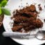 Do Orchids Like Coffee Grounds? The Answer Depends on One Key Detail