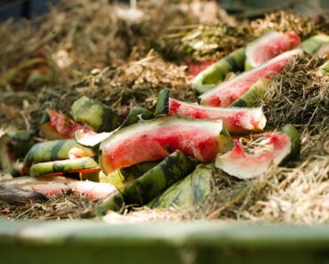 Don’t Throw Out Overripe Watermelon – It Has a Secret Use in the Garden