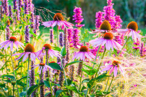 Forget Flower Fads – These 7 Gorgeous Anti-Trend Plants Bring Forever Beauty and a Yard That’s Always in Style