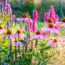 Forget Flower Fads – These 7 Gorgeous Anti-Trend Plants Bring Forever Beauty and a Yard That’s Always in Style