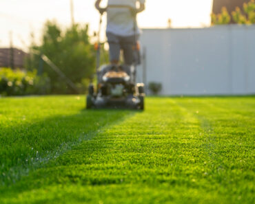 How Often Should You Really Mow Your Lawn? Experts Explain Why You Might Be Cutting It Too Much How Often Should You Really Mow Your Lawn? Experts Explain Why You Might Be Cutting It Too Much