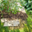 ‘I Always Save Old Cardboard Boxes to Use in My Garden’ – 4 Smart Ways to Turn Trash Into Your New Gardening Secret Weapon