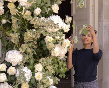 I ditched my ‘proper’ career to work with plants. Here’s what happened next I ditched my ‘proper’ career to work with plants. Here’s what happened next