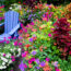 Is Too Much Color Killing Your Curb Appeal? Try This 2-Color Plant Trick for Easy Style Points