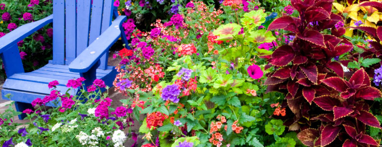 Is Too Much Color Killing Your Curb Appeal? Try This 2-Color Plant Trick for Easy Style Points Is Too Much Color Killing Your Curb Appeal? Try This 2-Color Plant Trick for Easy Style Points