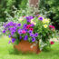It’s Not Too Late to Plant These 6 Gorgeous Container Recipes for Showstopping Color Into Fall