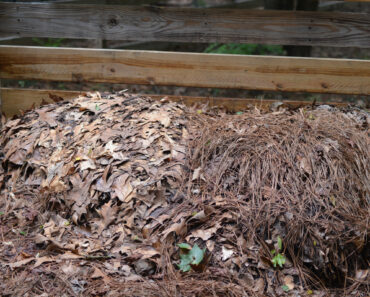 July Is When Compost Piles Tend to Stop Working – Here’s How to Get Yours Going Again July Is When Compost Piles Tend to Stop Working – Here’s How to Get Yours Going Again