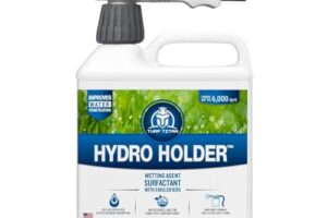 Most Gardeners Have Never Heard of This Lawn Product That Helps Grass Survive Extreme Heat