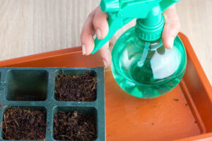 Shallow Watering Isn’t Always Bad – Here’s When It’s Actually Better for Plants Than Deep Watering