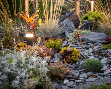 Swap Your Thirsty Lawn for This – It’s the Secret to a Lush Landscape That Never Needs Mowing Swap Your Thirsty Lawn for This – It’s the Secret to a Lush Landscape That Never Needs Mowing