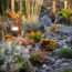 Swap Your Thirsty Lawn for This – It’s the Secret to a Lush Landscape That Never Needs Mowing