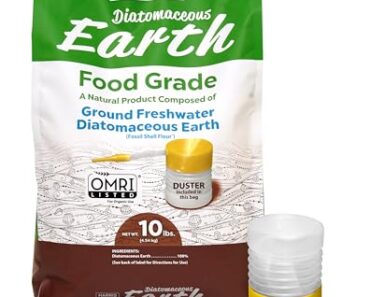 The Best Diatomaceous Earth Products for Chemical-Free Pest Defense