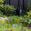 The New Color Rules: How Landscape Designers Use Color to Maximise Space in Modern Gardens