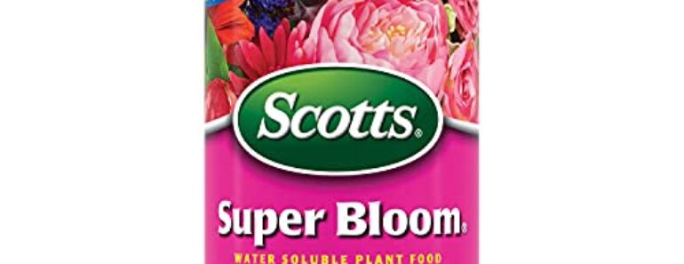 These 8 Flowers Stay Covered in Blooms Through July and August – Without Deadheading