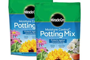 These 8 Tiny Patio Plants Attract Pollinators All Summer – Bringing Every Corner to Life