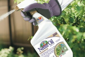 These Organic Pest Control Products Actually Work — Without Harsh Chemicals