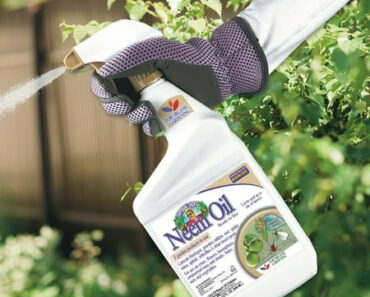 These Organic Pest Control Products Actually Work — Without Harsh Chemicals These Organic Pest Control Products Actually Work — Without Harsh Chemicals