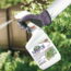 These Organic Pest Control Products Actually Work — Without Harsh Chemicals