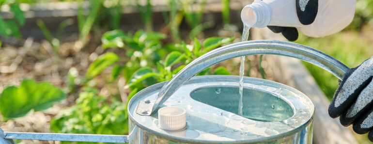 What Pepper Plants Need in July – 5 Easy Yet Essential Tasks to Do Before the Month Ends for a Sweet & Spicy Harvest What Pepper Plants Need in July – 5 Easy Yet Essential Tasks to Do Before the Month Ends for a Sweet & Spicy Harvest